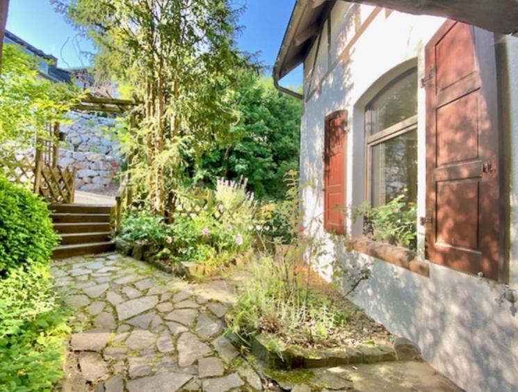 Waldseele Appartement Battenberg  Екстериор снимка